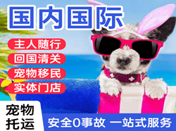 汉中城固机场货运国际宠物托运 【国